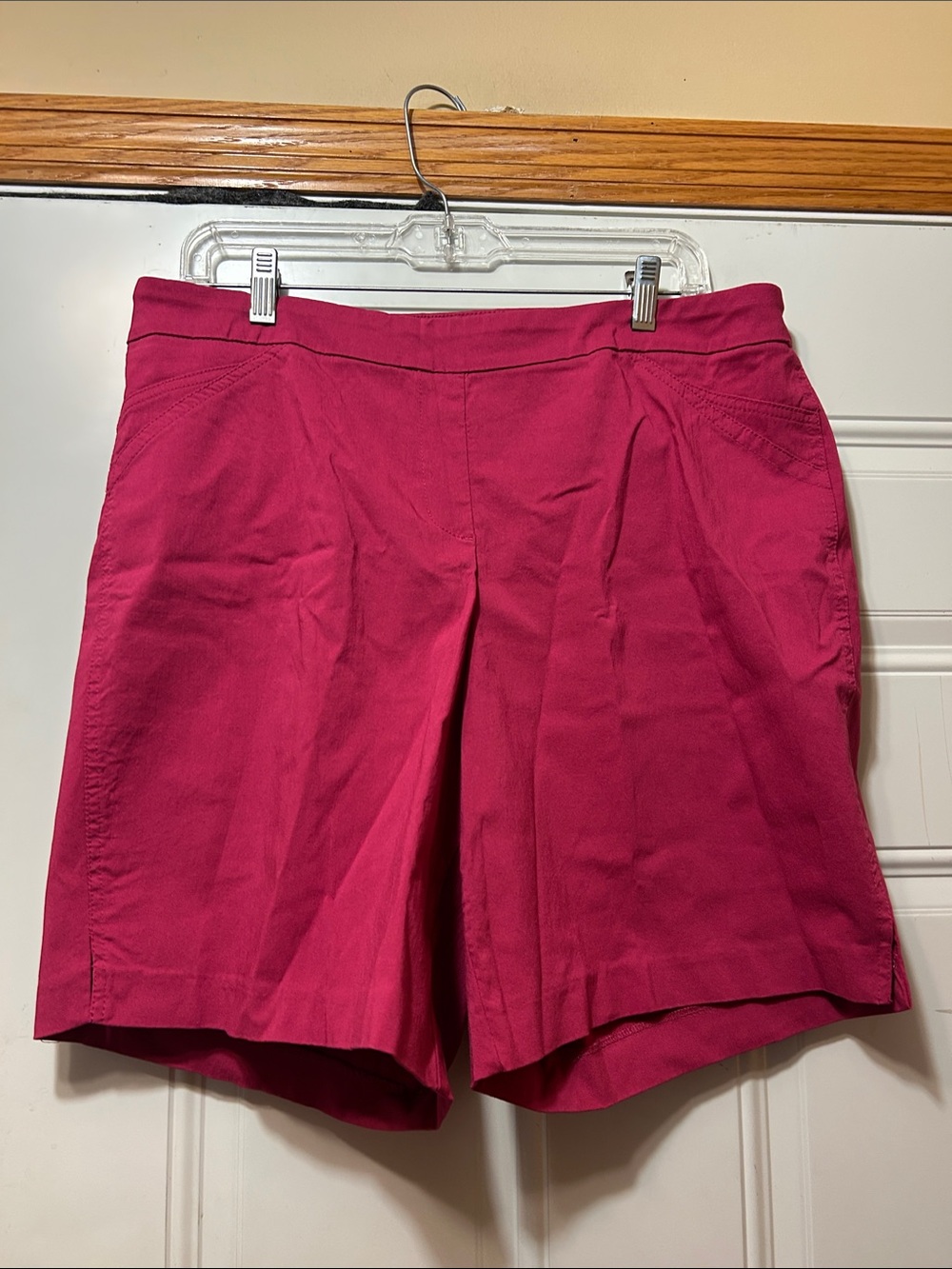 Dalia Pink Shorts 14W